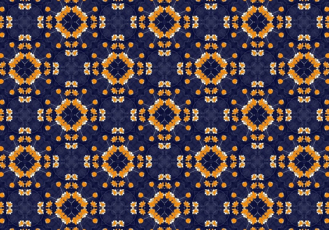 SR-DP005